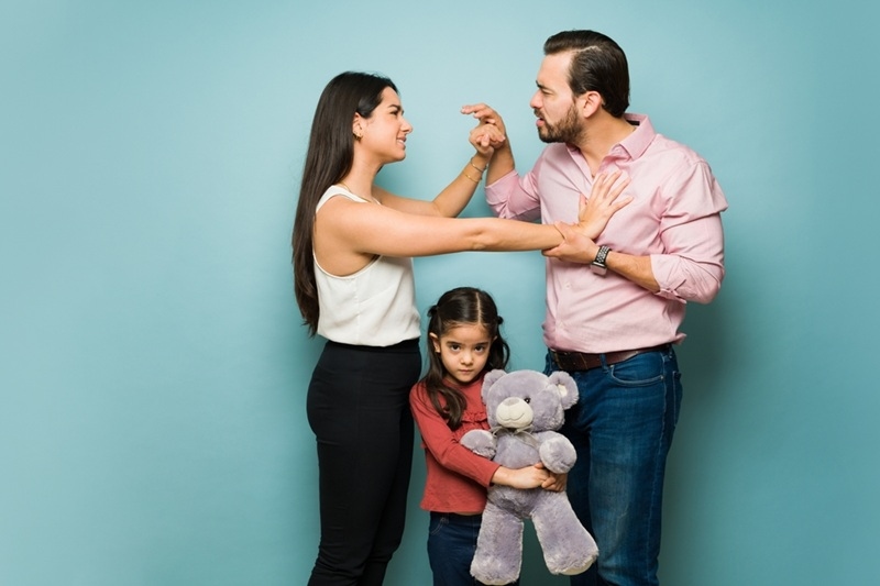 joint vs sole custody