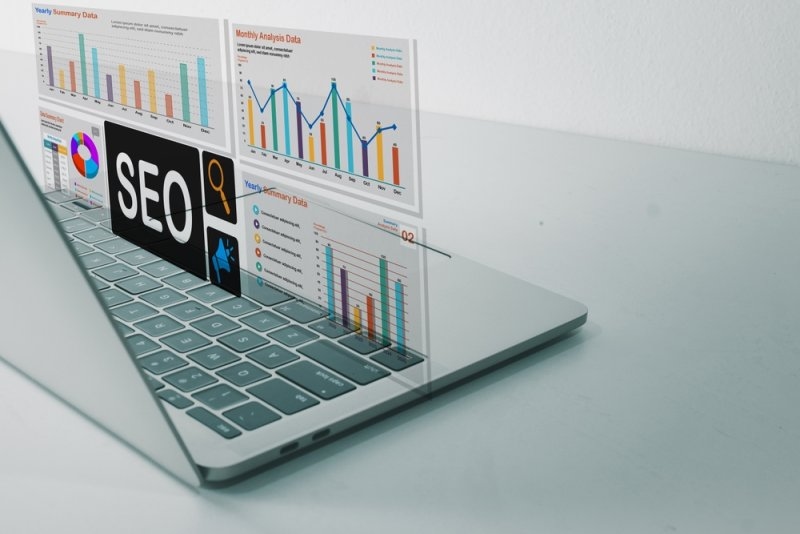 SEO analytics dashboard showing website crawl and performance data