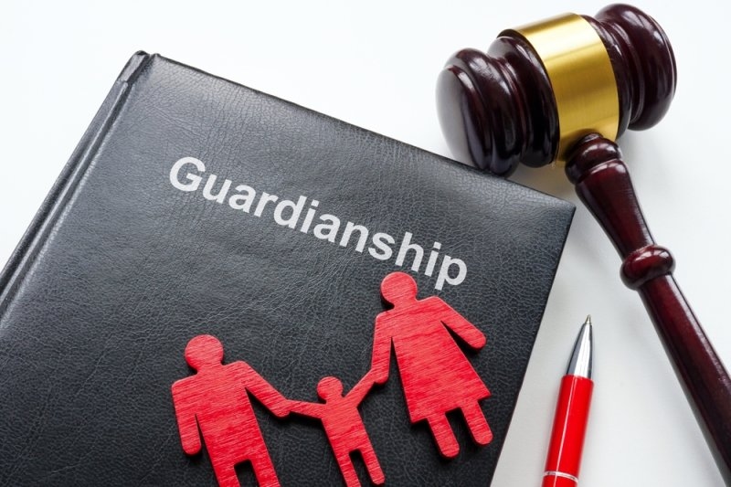 Guardianship law labelled book