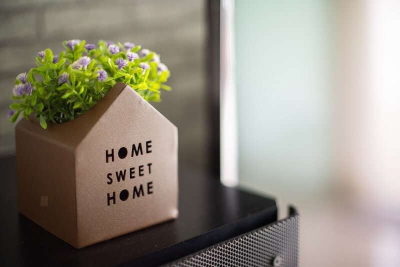 home sweet home plant 