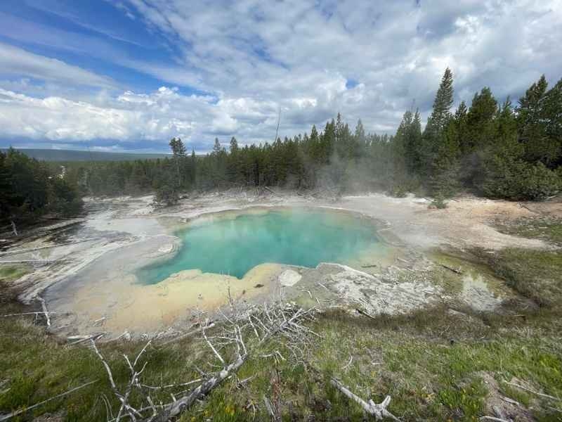 Turquoise geothermal hot spring with steam rising in a forested natural area.