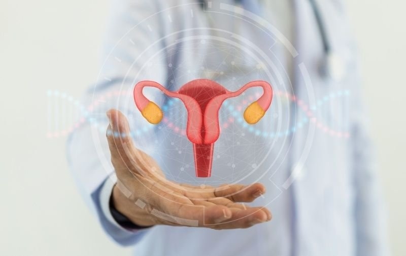 Intrauterine Insemination Procedure and Success Rate