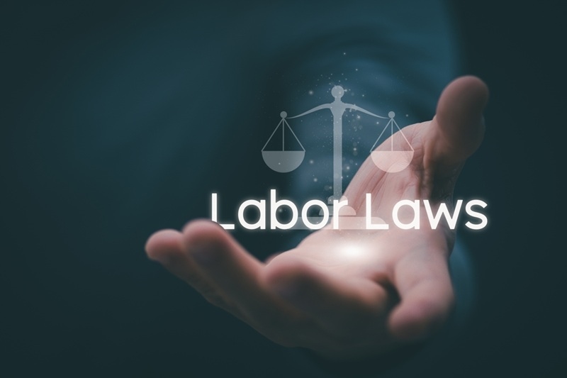 Types of Employment Laws That Shape Fair Workplaces