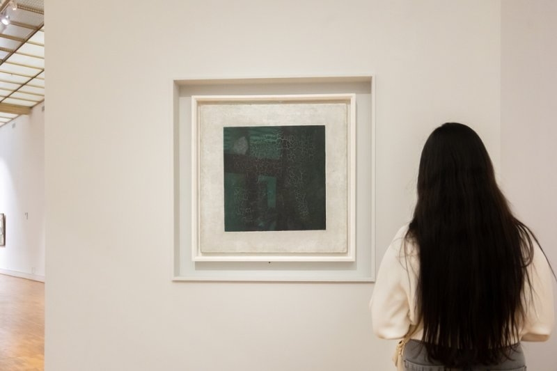 Woman viewing minimalist artwork in a modern gallery.