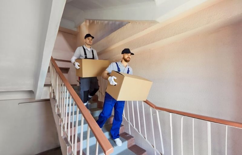 Professional male young movers from moving service