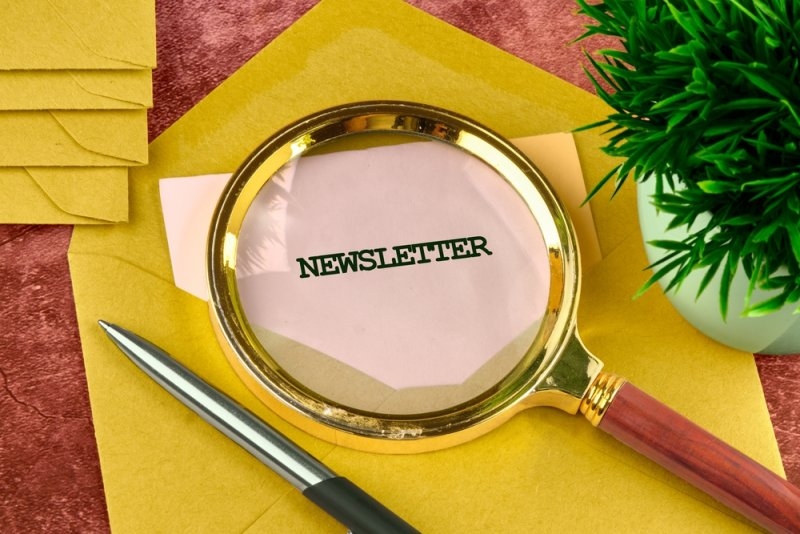 niche newsletter editor