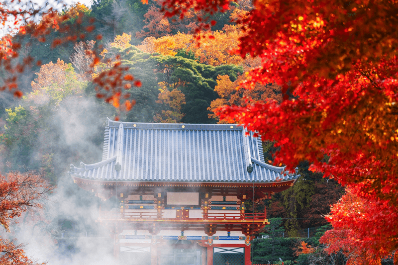 Osaka spring itinerary, Osaka autumn travel plan, seasonal Osaka trip, Osaka festival itinerary, Osaka event travel