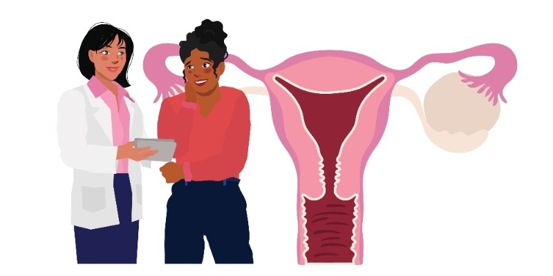 Doctor consulting a patient beside a medical illustration of the female reproductive system.