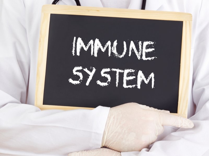 Healthcare professional holding a blackboard labeled “IMMUNE SYSTEM.”