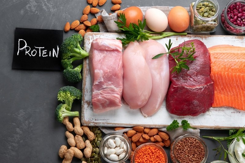 best protein rich foods