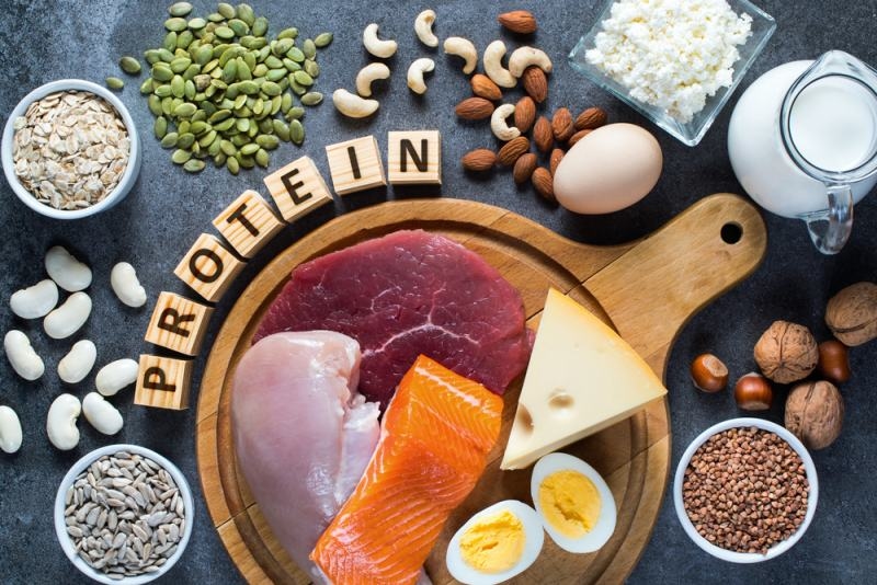 high protein diet