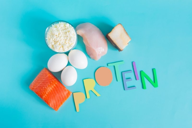 Assortment of high-protein foods including salmon, eggs, chicken, cottage cheese, and cheese on a blue background.