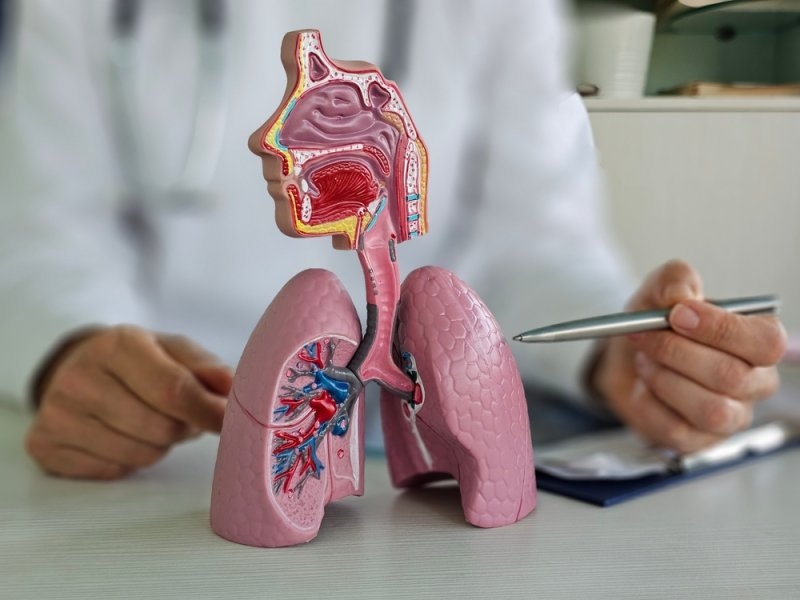 Physician and respiratory system specialist for lung diseases