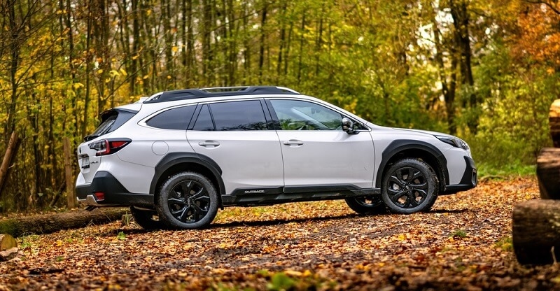 subaru wilderbox car side view in forest area