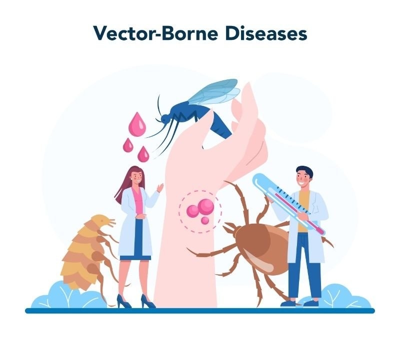 Educational illustration showing mosquitoes, ticks, fleas, and healthcare professionals explaining vector-borne diseases and the spread of infectious illnesses.