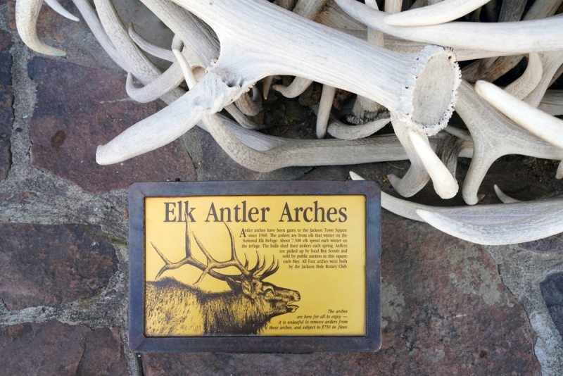 View of the landmark Elk Antlers Arches