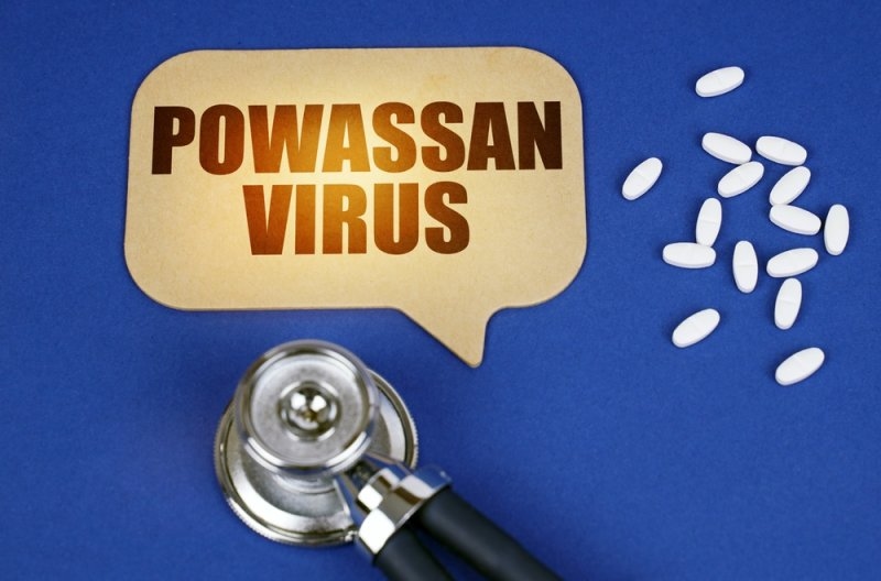 powassan virus