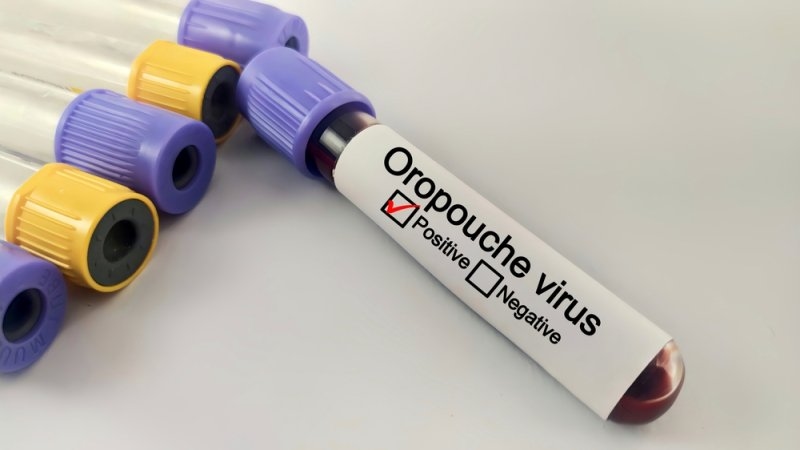 oropouche virus disease