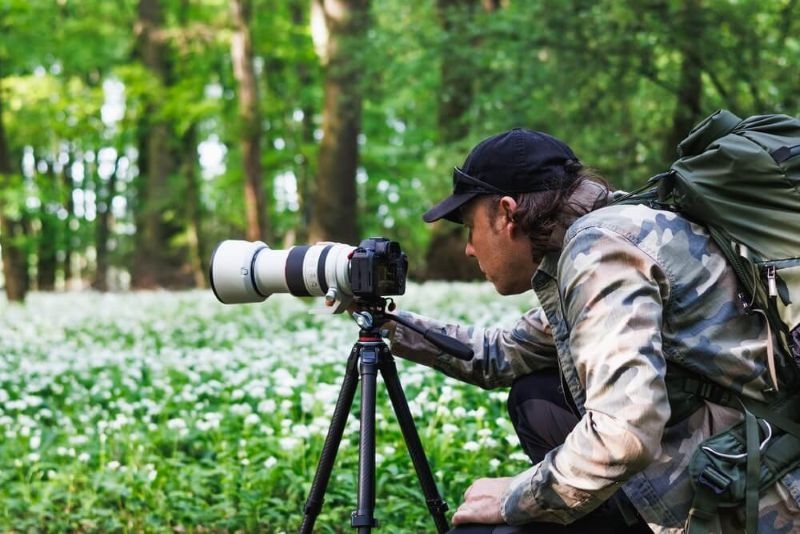 man doing wildlife photography in a forest