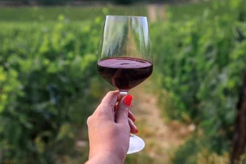A hand holding a glass of red wine outdoors, with rows of green grapevines visible in the background.