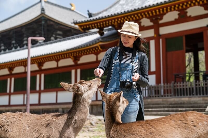 japanese woman enjoying at castle in day time
