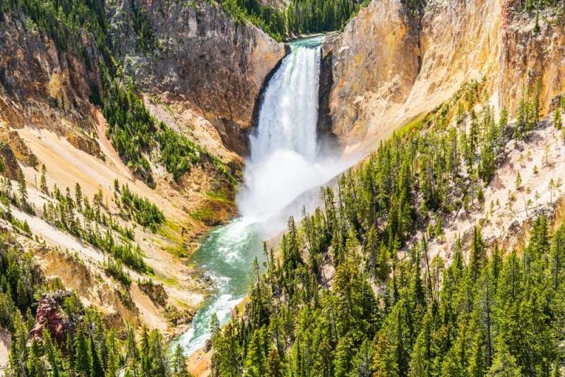 Panoramic view of a powerful waterfall plunging through golden canyon walls surrounded by dense pine forests and a flowing river.