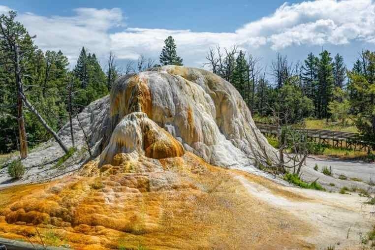 A colorful mineral terrace or geothermal formation surrounded by pine trees and a wooden walkway at Yellowstone National Park.