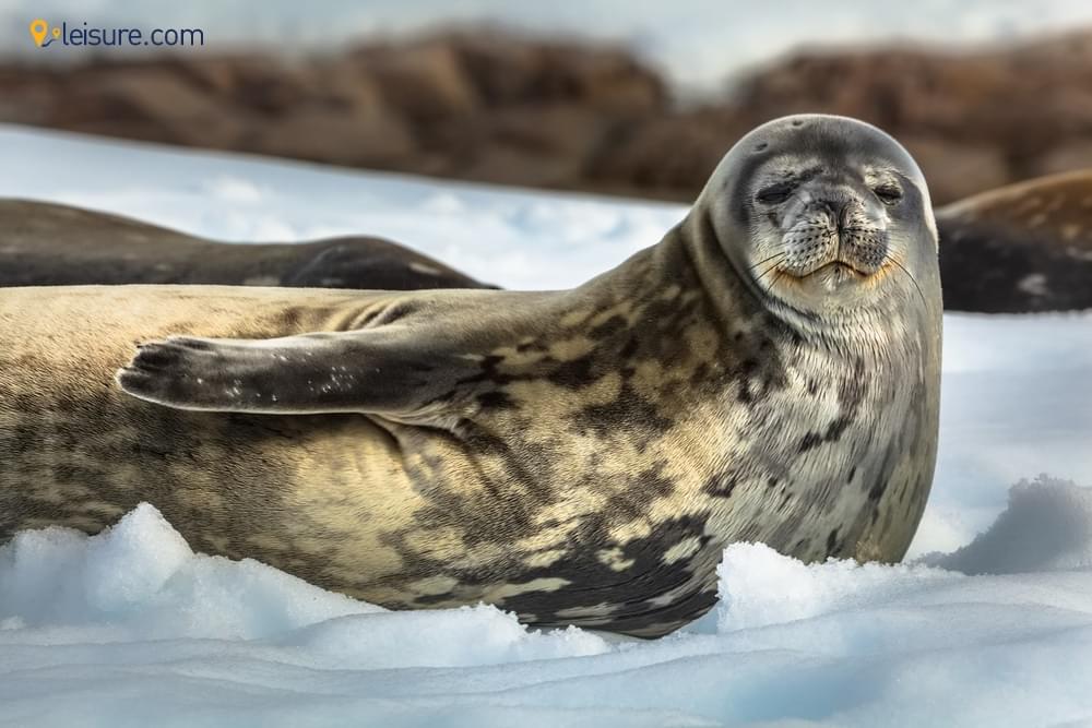  A Trip to Remember! df