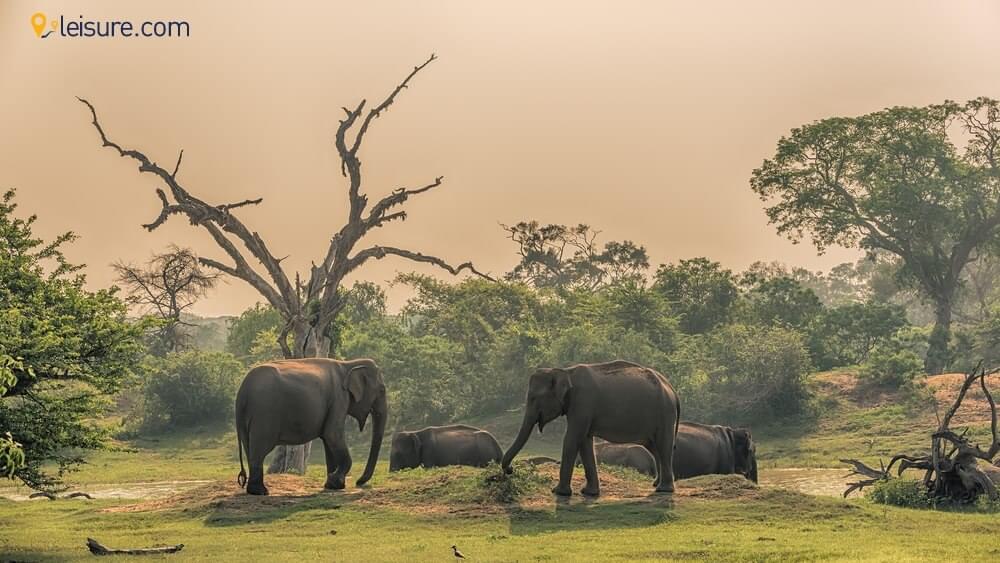 Dive Deep into Sri lanka