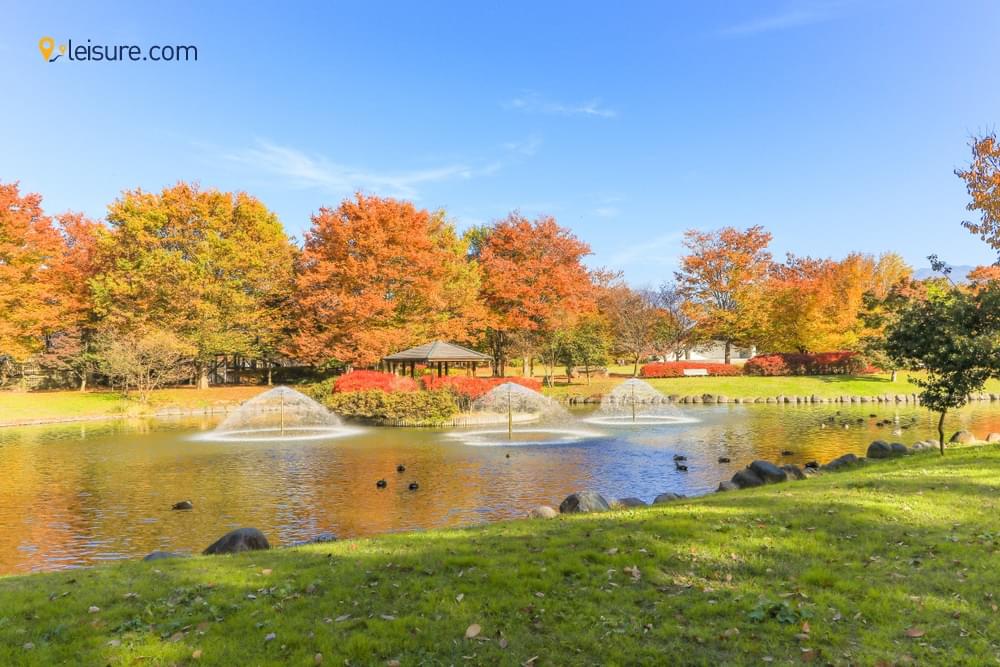  14 Days Japan Tour as