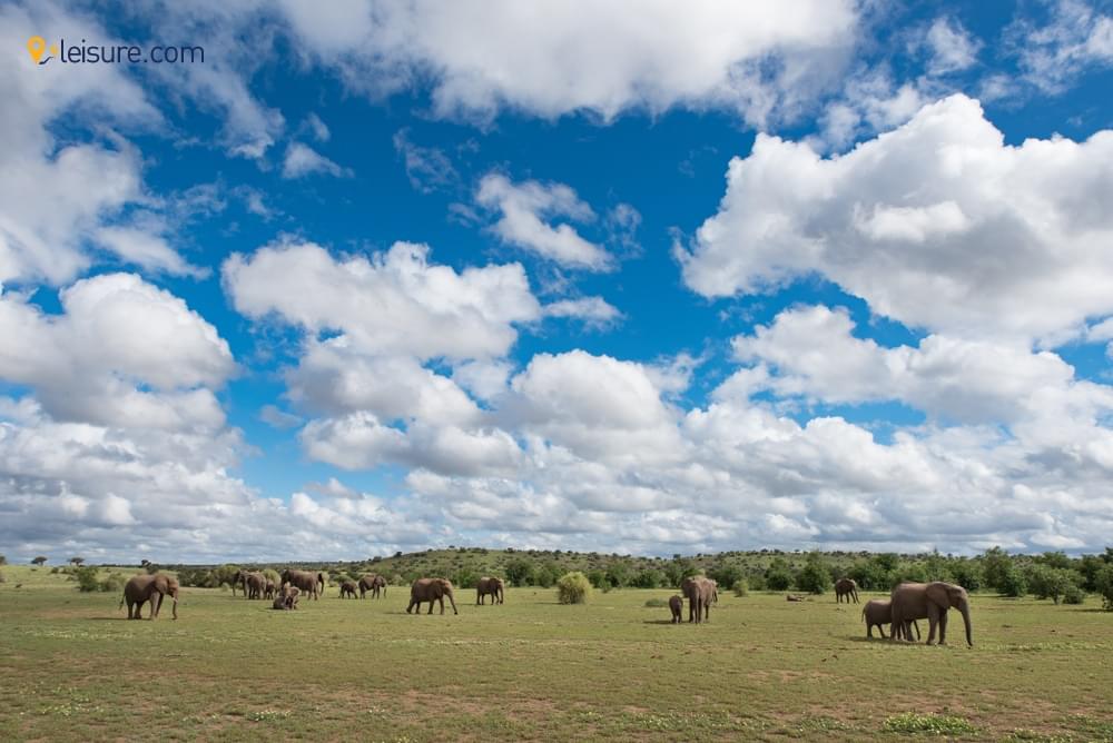 Botswana Safari Campsa