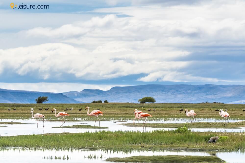 Classic Argentina Tour df