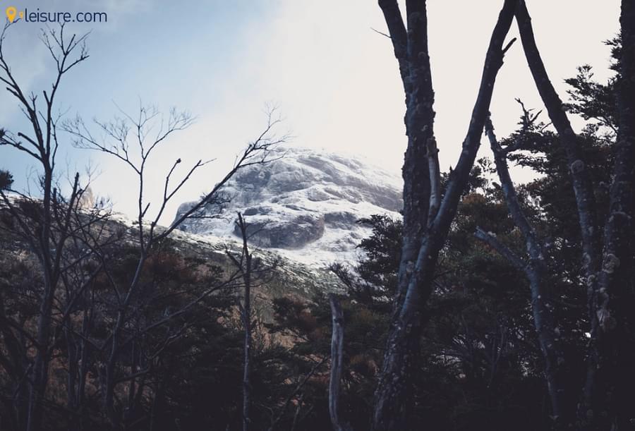 Patagonian Tour