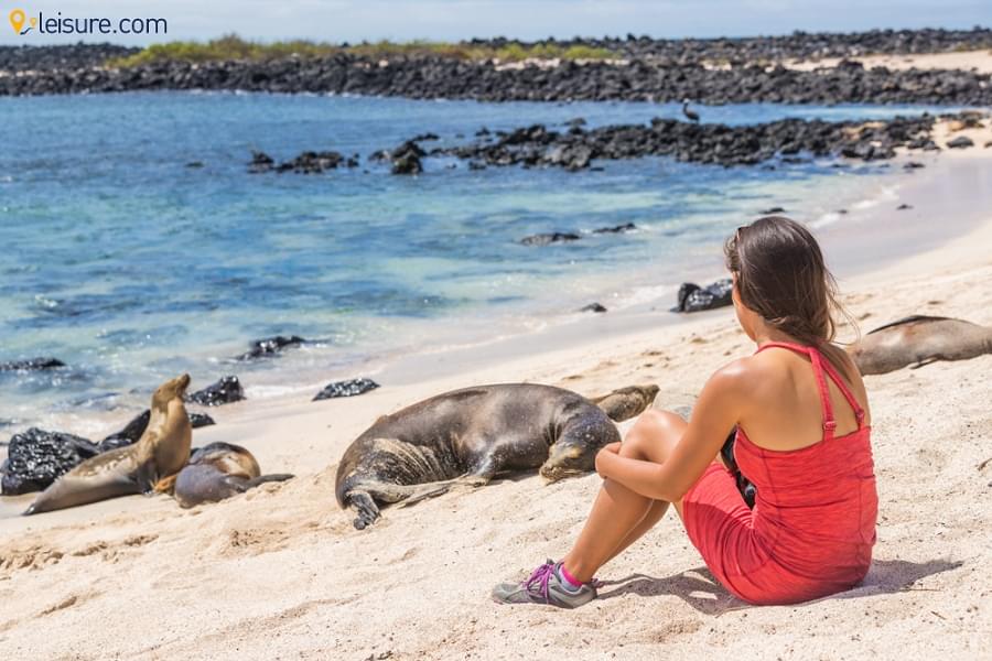 Ecuador & Galapagos vacation
