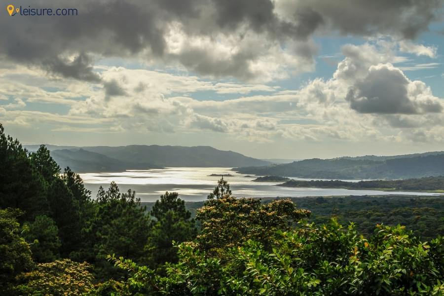 New Zealand Tour xds