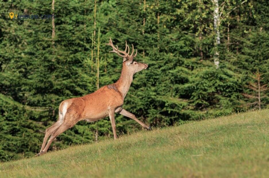  Ukraine Tour Itinerary df