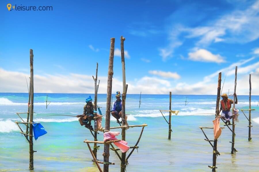 A Family Tour Package 2