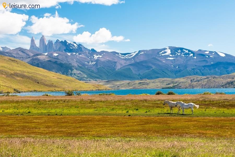 best luxury patagonia tours