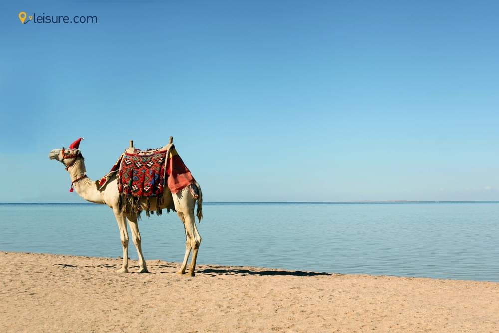 Restrictions On Travel