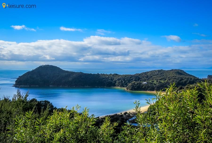 New Zealand Tour rty