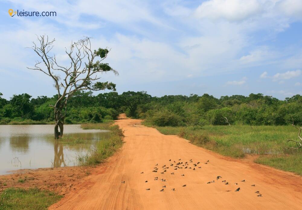 Weeklong Sri Lanka Tour dfsd