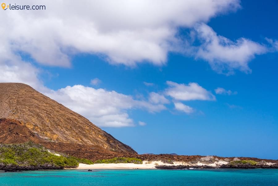 Ecuador & Galapagos Tour