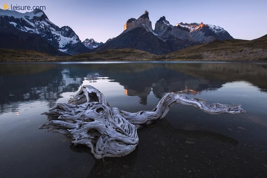 Patagonian Packages