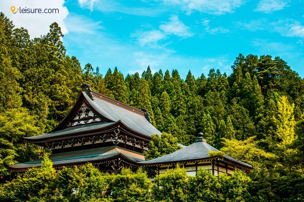  Japan With Our 2-Weeks  sss