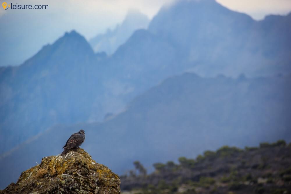 Kilimanjaro Machame Trek 4