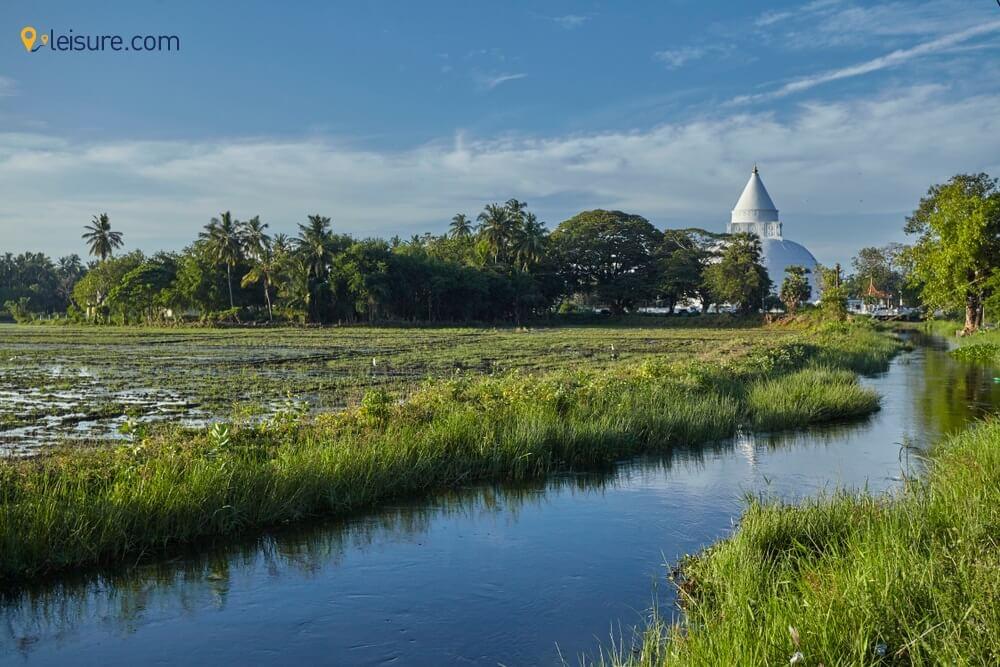 Dive Deep into Sri lanka g