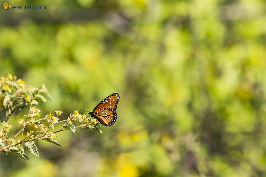 Ecuador & Galapagos vacation