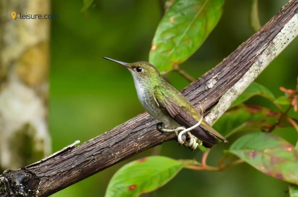 America Tourist Attractions Guide df