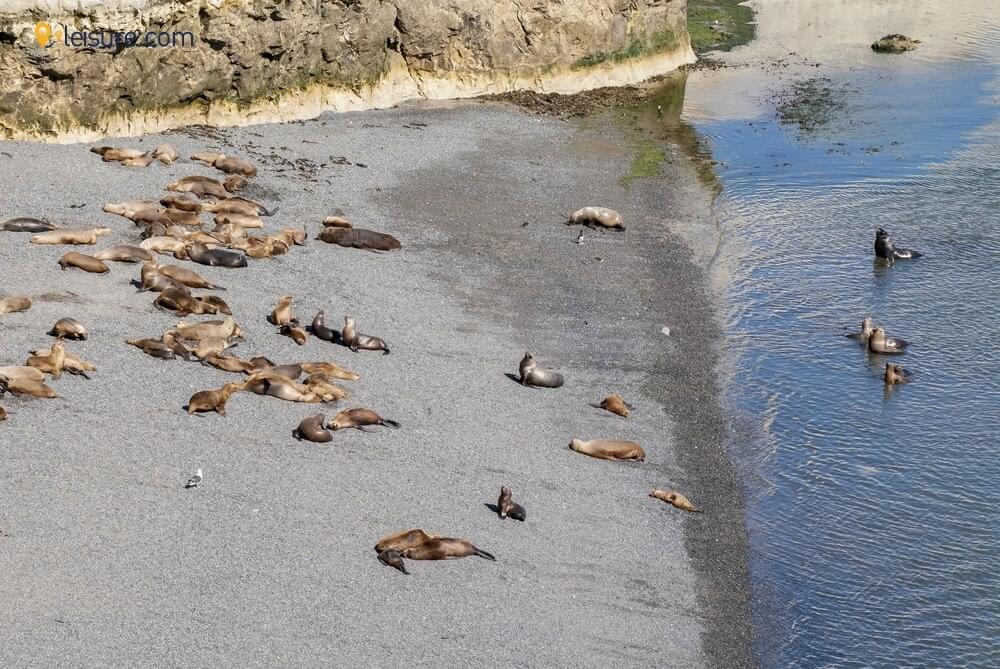 This Argentina Tour Journey