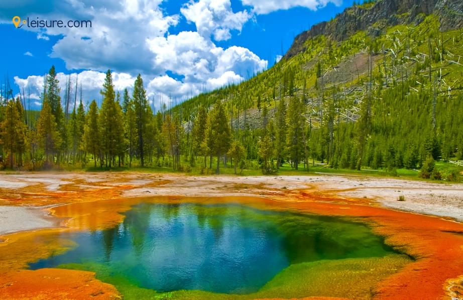 Pick This Fall Season d